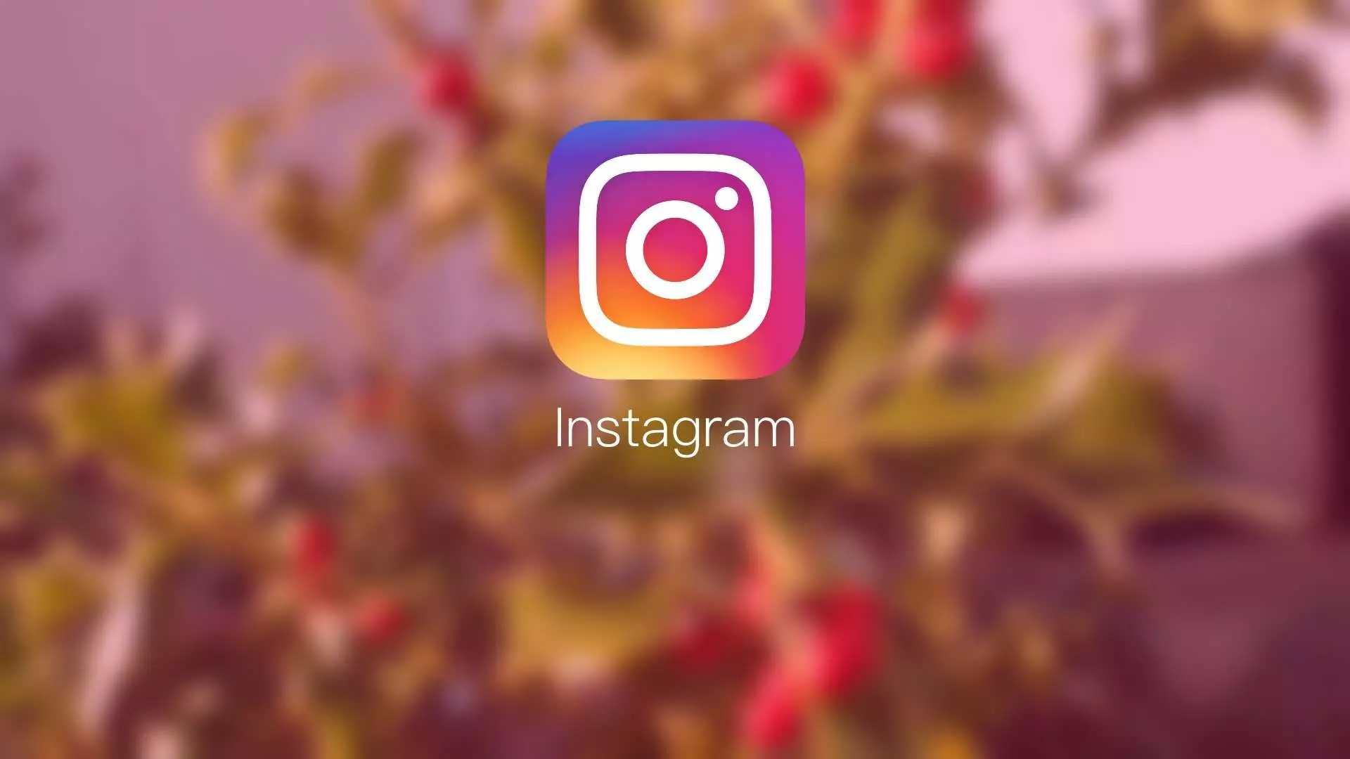 Kapanan Instagram hesabı açma yöntemleri