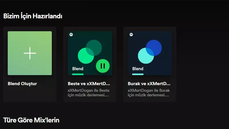 Spotify blend tanımı